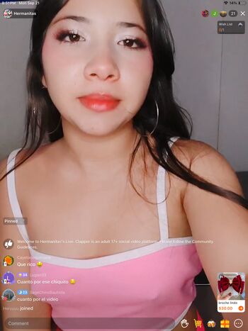 Hermanitas