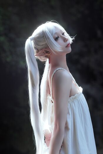 shiliuyelei