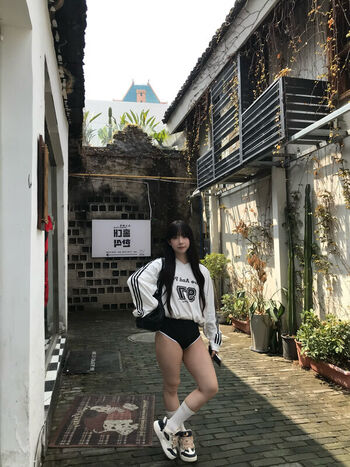 shiliuyelei
